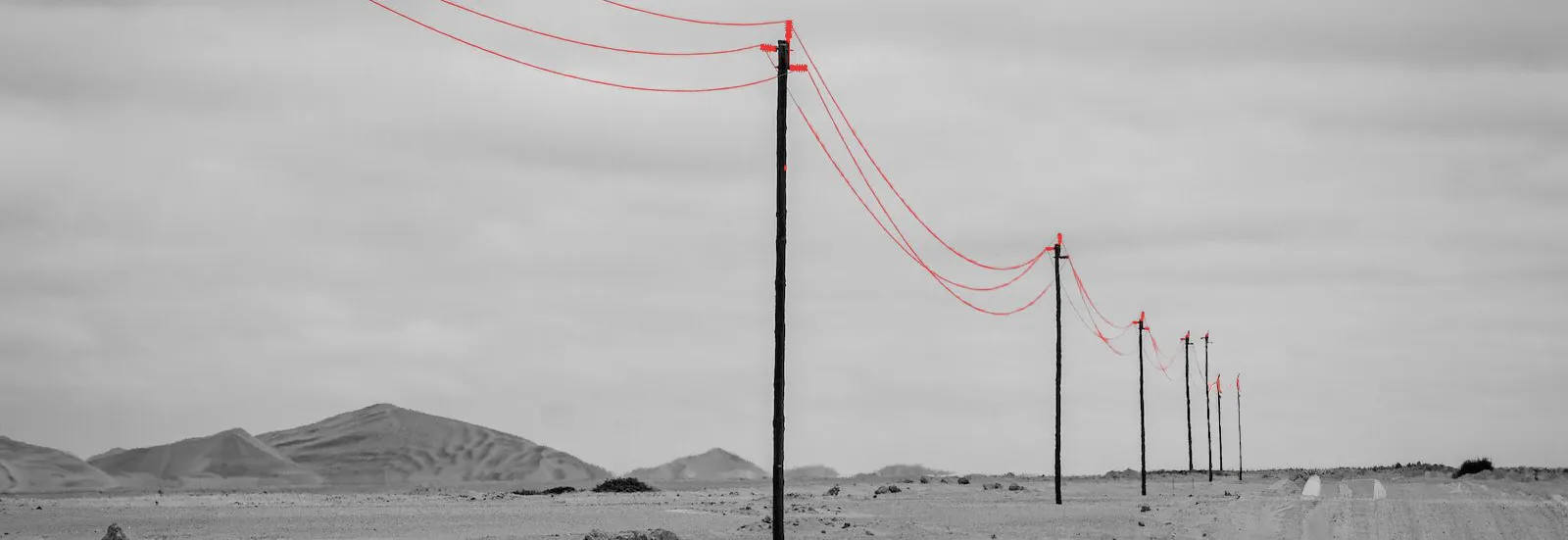 telephonepoles